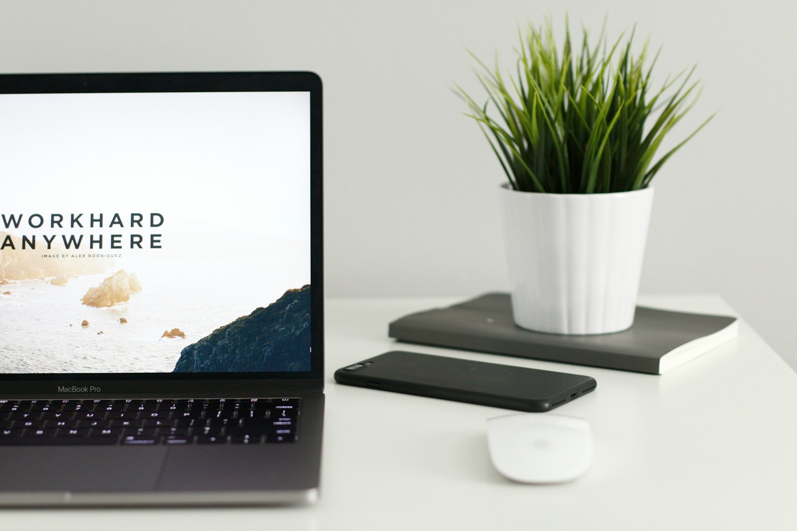 Digital marketing agency portfolio — client project workspace at Grow Bees Delhi
